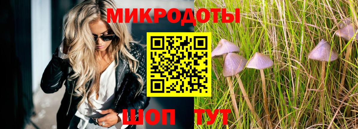 Галлюциногенные грибы GOLDEN TEACHER  Вход с VPN  Норильск 